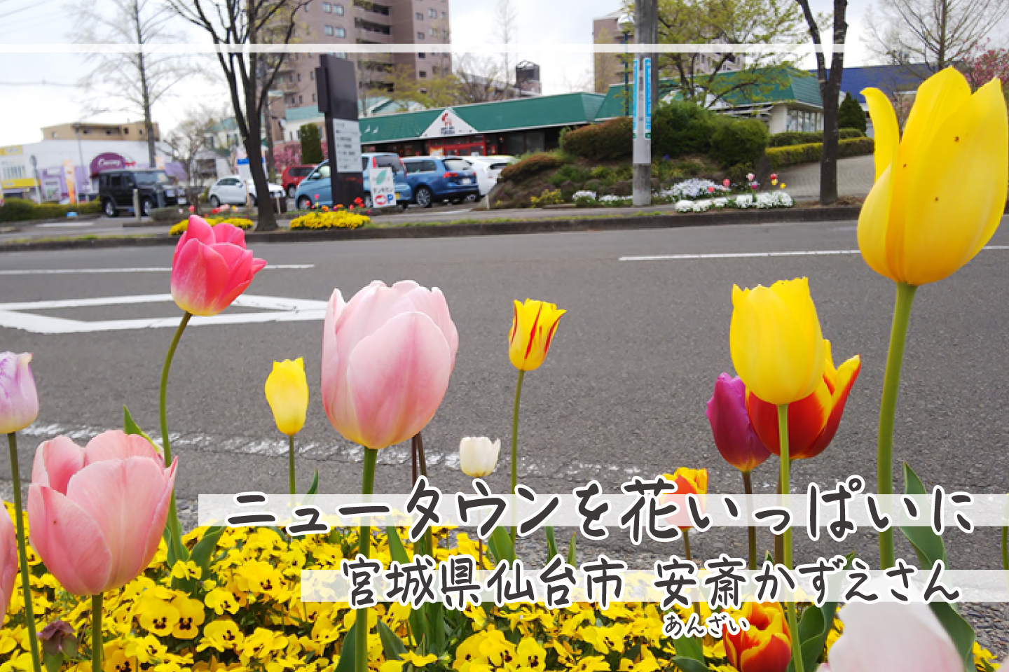 【EM PEOPLE】ニュータウンを花いっぱいに ～宮城県仙台市　安斎かずえさん | ウェブエコピュア