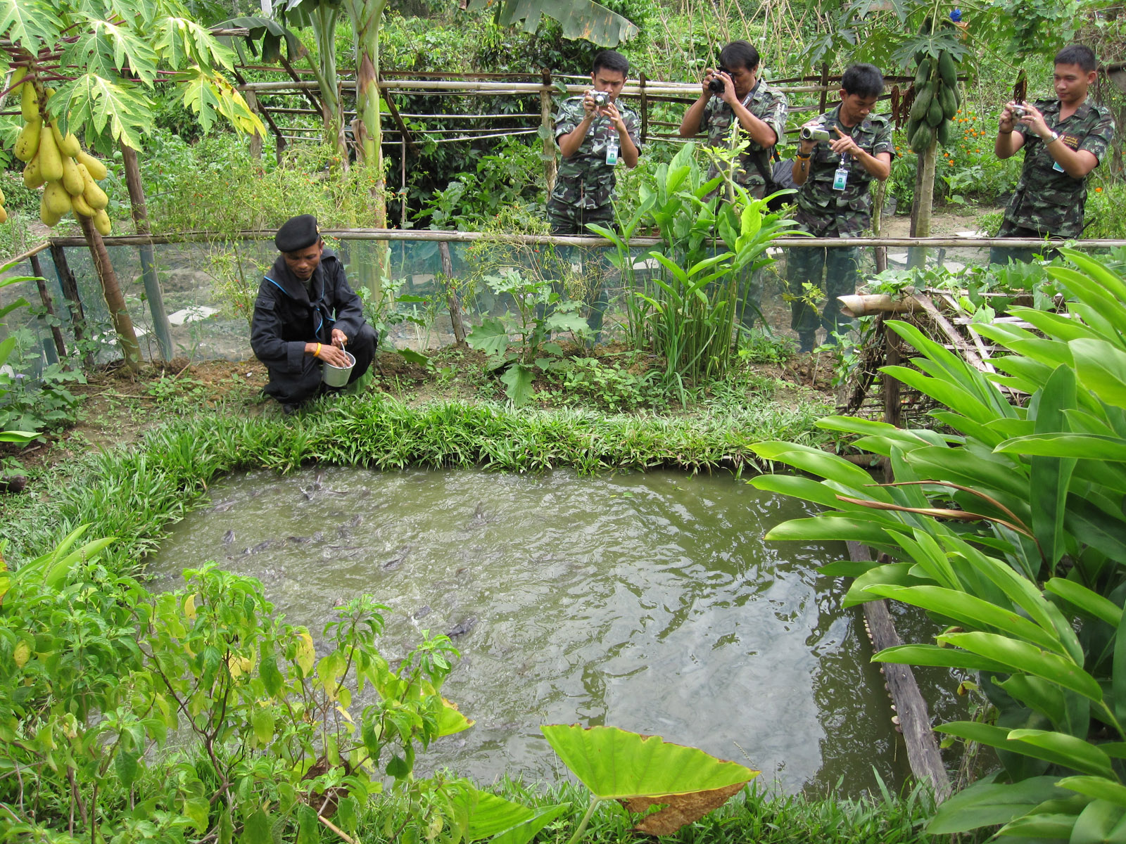 100%自然循環式水浄化システムによるエビ養殖