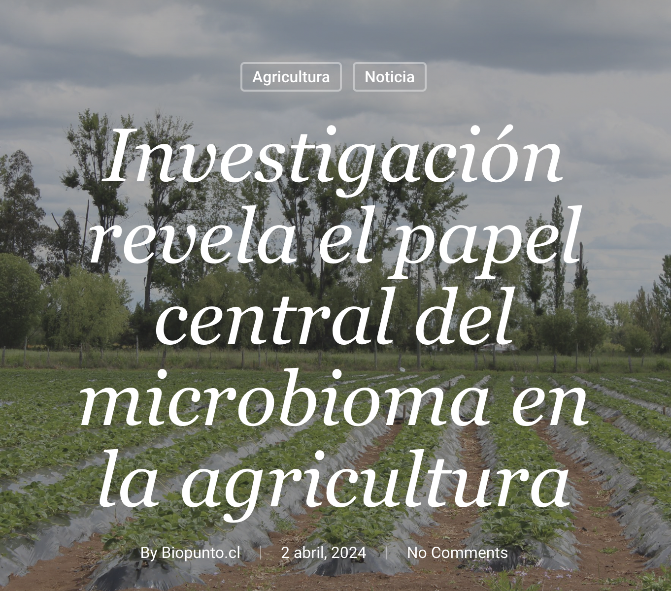 【チリ】研究により、農業におけるマイクロバイオームの中心的な役割が明らかになりました | BioPunto