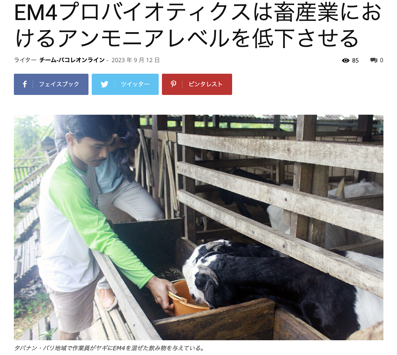 インドネシア　EMを使った畜産のアンモニア対策などの記事を公開 | パクオレスオンライン